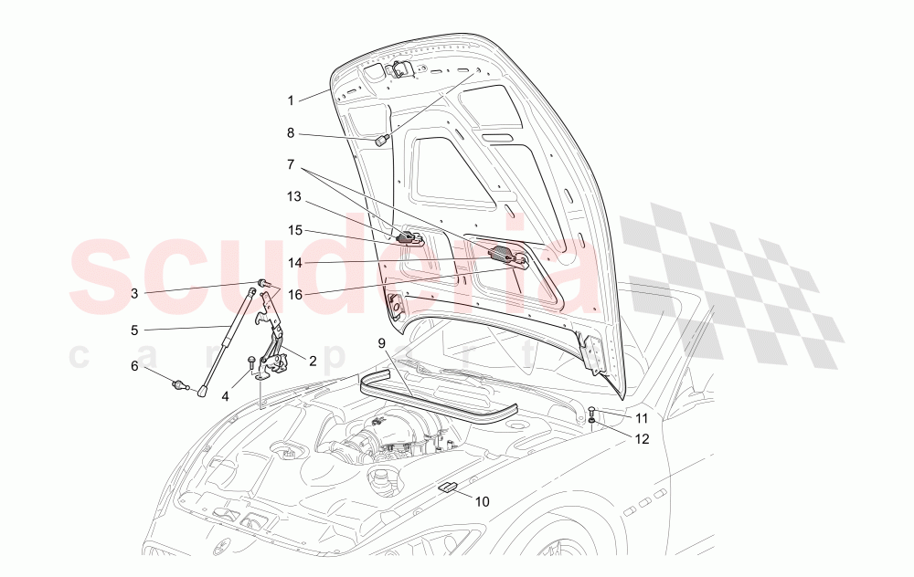 FRONT LID (Not available with: MC FRONT LID) of Maserati Maserati GranCabrio (2016+) MC