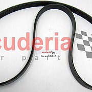 Water & Power Steering Belt for 