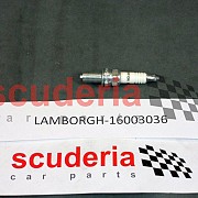 Spark Plug for 