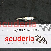 Spark Plug for 