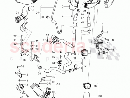 Photo of Hose Clamp…