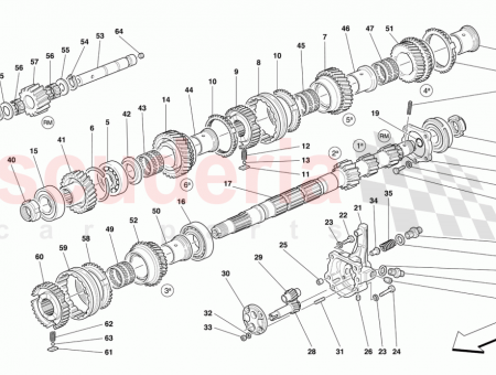 Photo of SCREW…