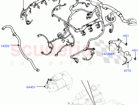 Photo of WIRE EARTH…