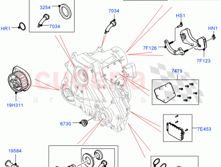 Photo of Kit Seal…