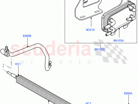 Photo of SCREW…